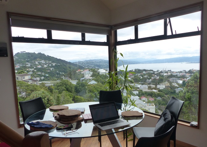 Part of a fabulous view over Wellington